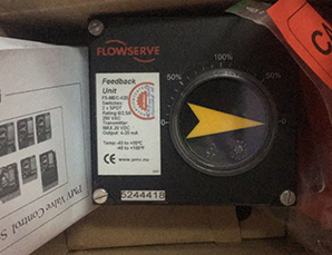 美國(guó)Flowserve